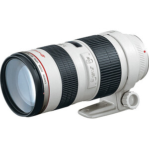 Canon, 70-200mm f/2.8L Lens (EF Mount)