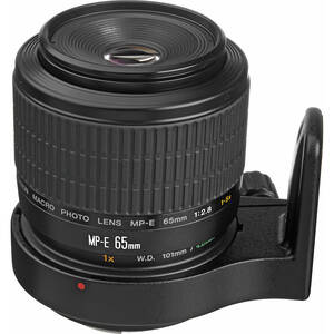 Canon, MP-E 65mm f/2.8 Macro Lens