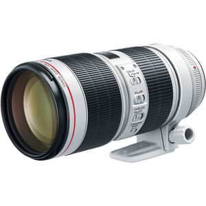 Canon, 70-200mm f/2.8L III USM Lens (EF Mount)